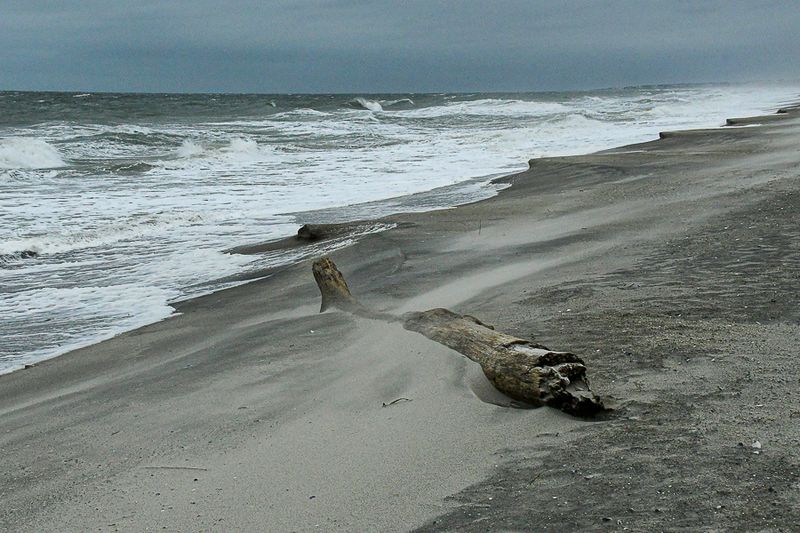 Pictures Some Days (PSDs)