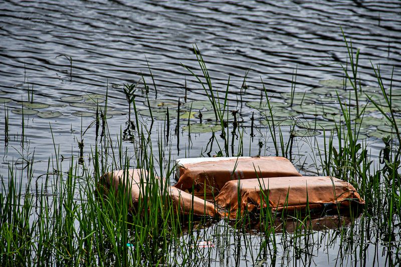 2017 09 07 Hopefully it just fell in the water and drifted off... 'Kodai' India-2-3954