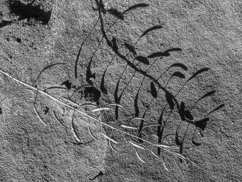 Fiery Furnace - Arches Natl. Park