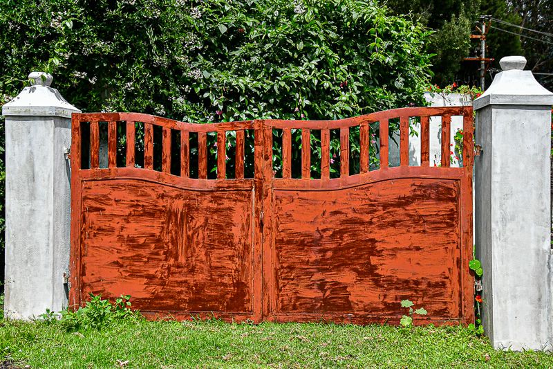 2017 09 07 'Kodai' India-2-3956-2