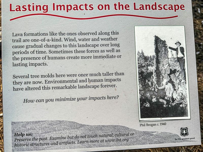 2024 07 20 Lava Cases Natl. Forest i7262