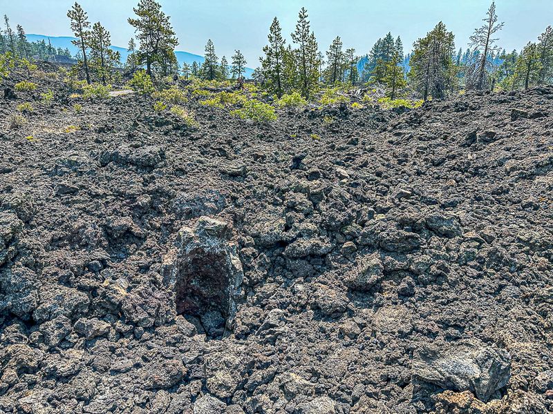 2024 07 20 Lava Cases Natl. Forest i7184