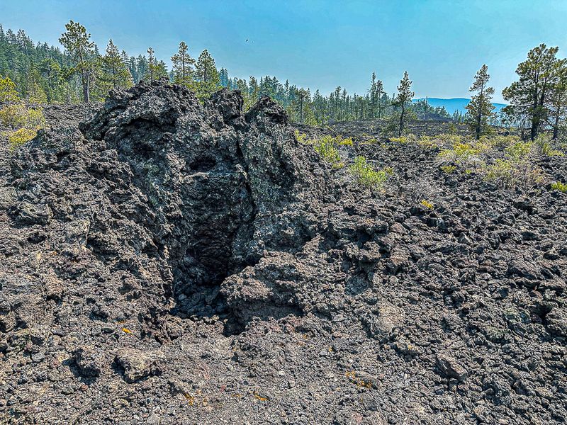 Lava Cast Forest - Deschutes Natl. Forest