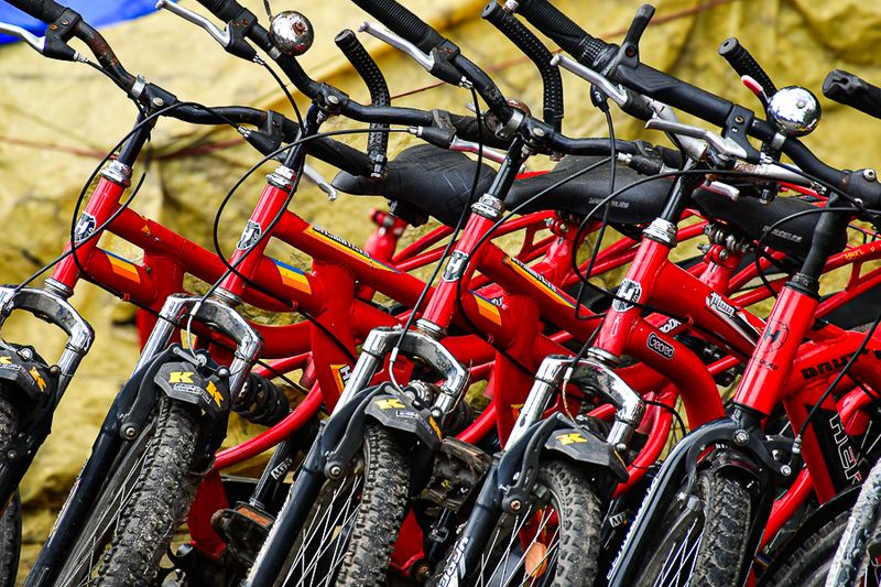 Kodaikanal - 'Kodai'