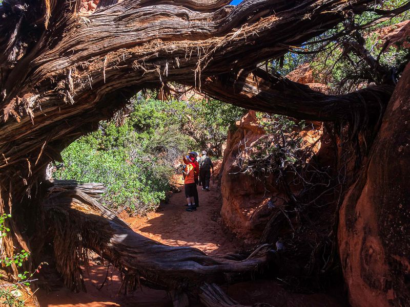 2019 05 03 Utah19-2-i2190