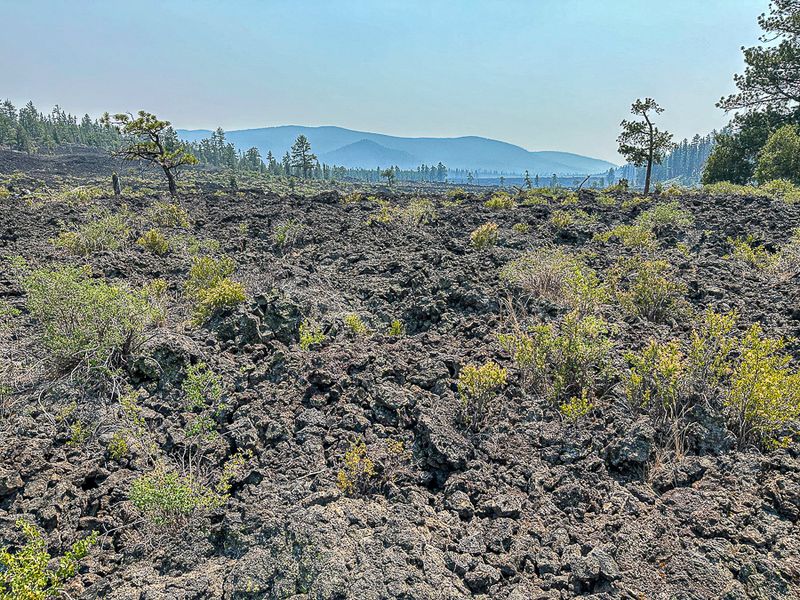 2024 07 20 Lava Casts Natl. Forest i7213