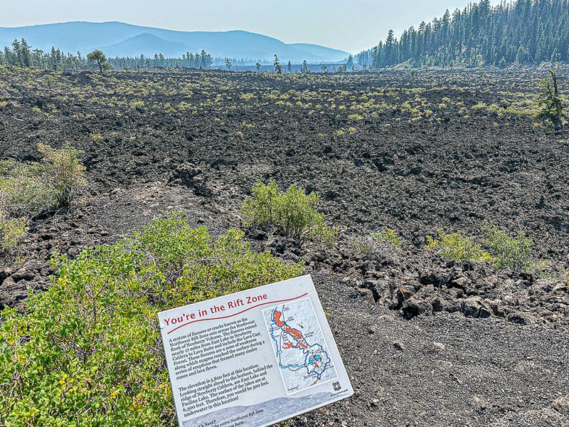 2024 07 20 Lava field - Lava Casts Natl. Forest i7225