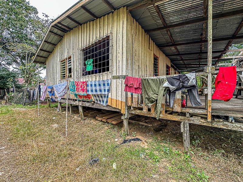 2023 08 27 MaBorneo i0657