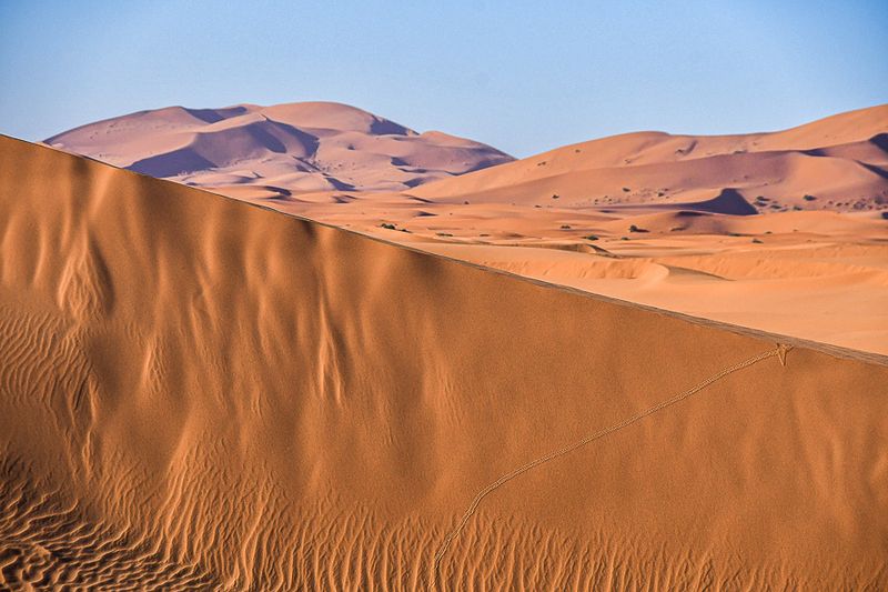 2019 04 04 Erg Chebbi - Merzouga Moroc-5005