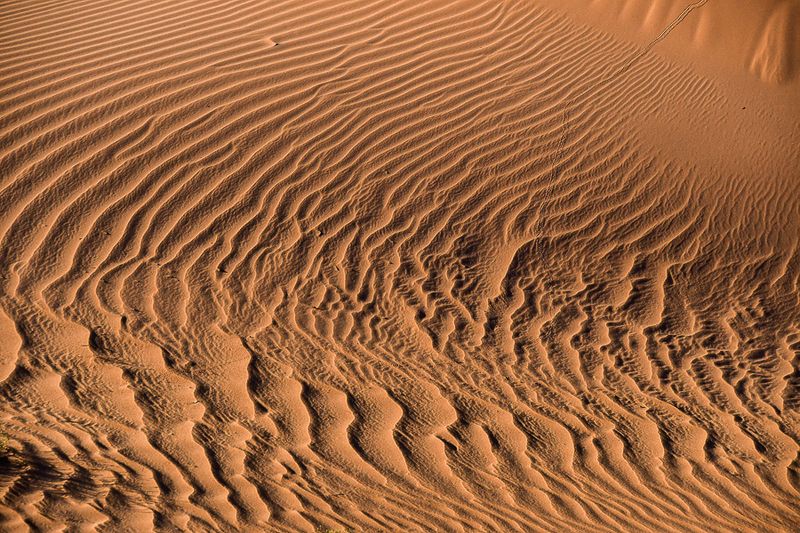 2019 04 04 Erg Chebbi - Merzouga Moroc-5006