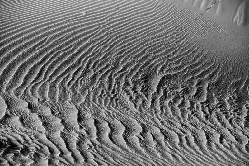 2019 04 04 Erg Chebbi - Merzouga Moroc-5006-2