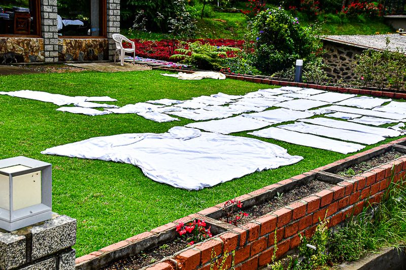 2017 09 07 Linens out to dry - 'Kodai' India-2-4001-2