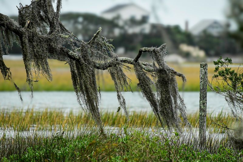 20251027-DSC_2402-Edit