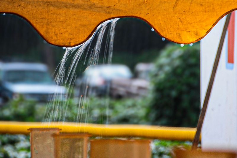 Spittoono XXIX - 2009 - Held in Clemson, SC