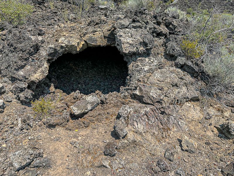 2024 07 20 Cast of downed tree - Lava Casts Natl. Forest i7243
