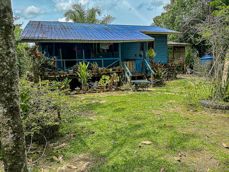 2023 08 27 Blue house MaBorneo-i0665-3