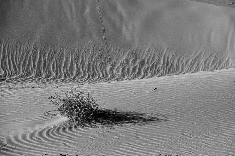 2019 04 04 Erg Chebbi - Merzouga Moroc-5008-2