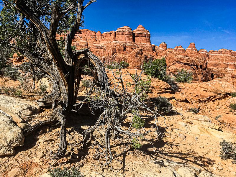 2019 05 03 Utah19-2-i2236