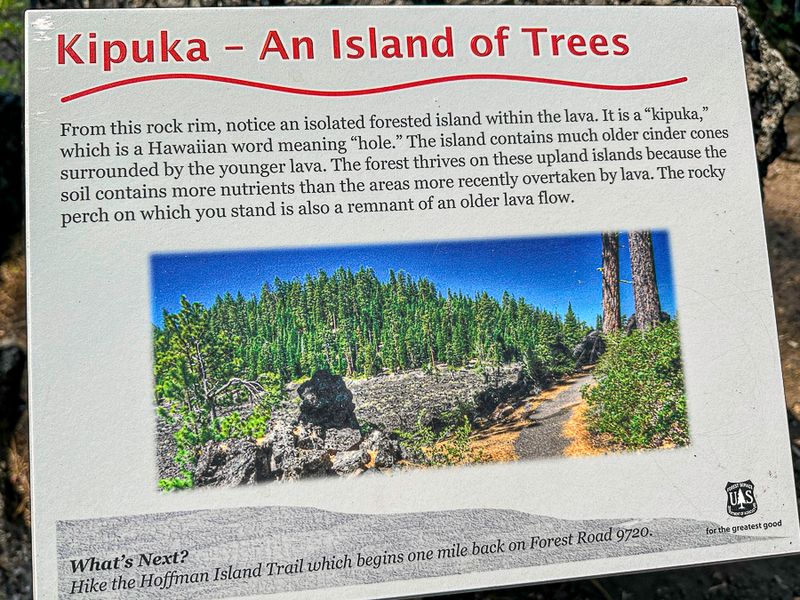 2024 07 20 Kipukas - Lava Casts Natl. Forest i7250