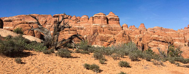 2019 05 03 Utah19-2-i2245