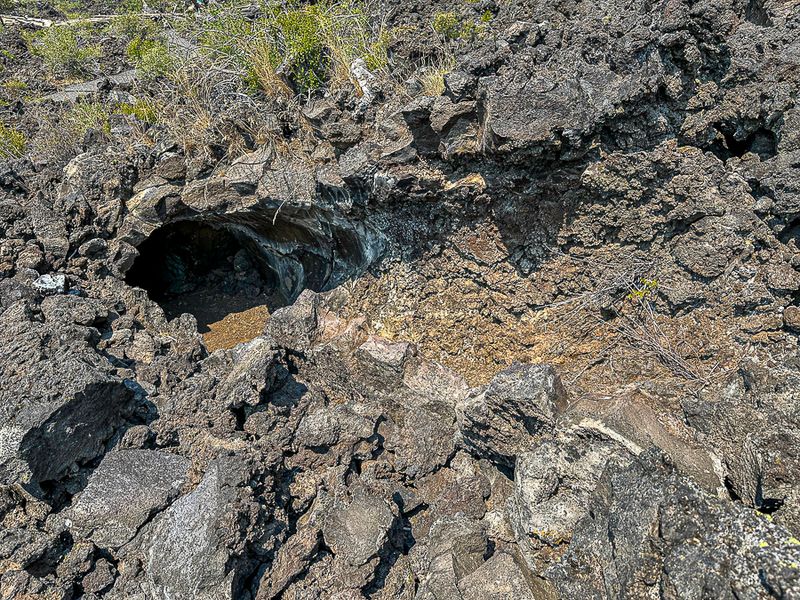 2024 07 20 - Cast of downed tree - Lava Casts Natl. Forest i7261