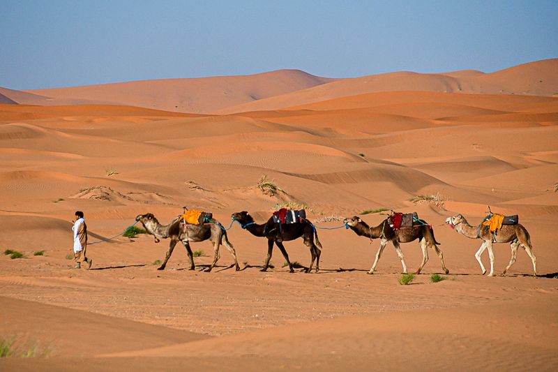 2019 04 04 Can you hear me now? - Erg Chebbi - Merzouga Moroc-5030
