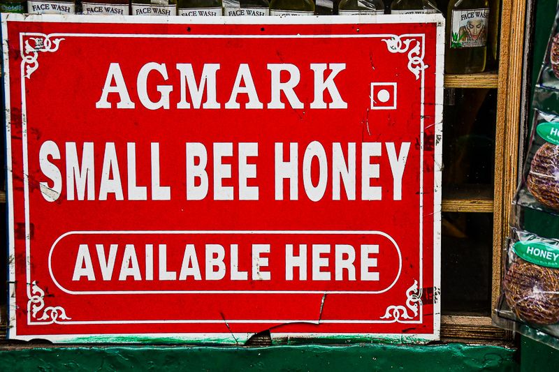 2017 09 07 - 'Kodai' India-2-4052-2