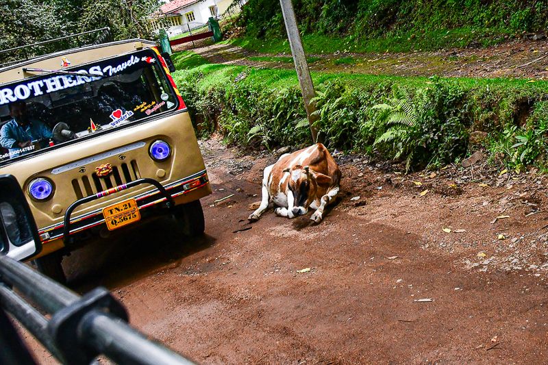 2017 09 07 Welcome to India - 'Kodai' India-2-4069-2