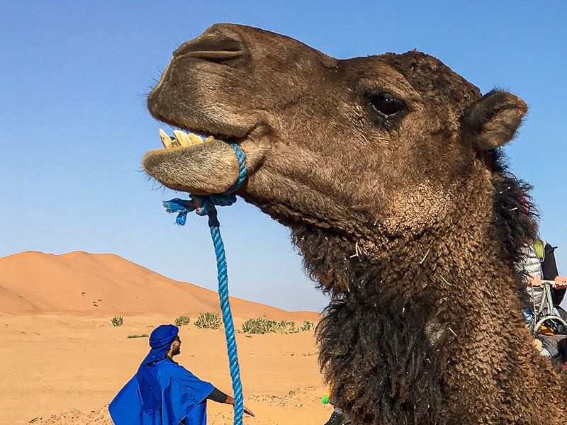 2019 04 04 - Erg Chebbi - Merzouga Moroc-i0735