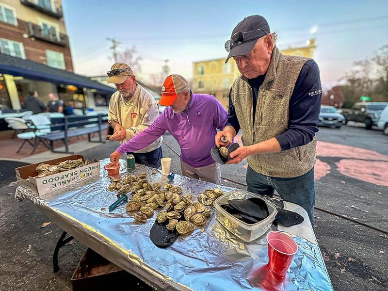 Pictures Some Daze 2025