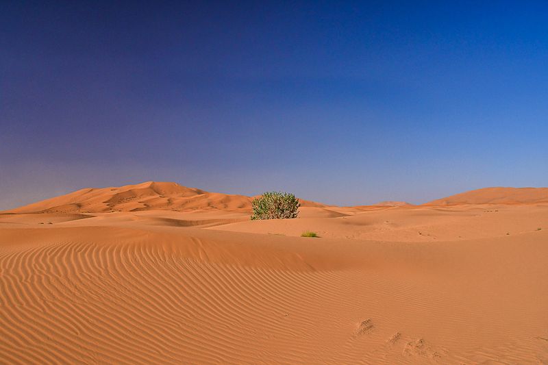 Erg Chebbi - Merzouga, Morocco