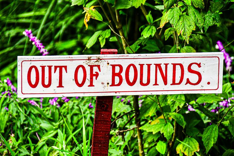 Kodaikanal - 'Kodai'