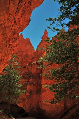 Utah15-9068