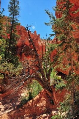 Utah15-9072
