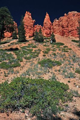 Utah15-9095
