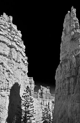 Utah15-9129bw
