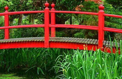 06-08 Irish National Stud & Gardens 4459