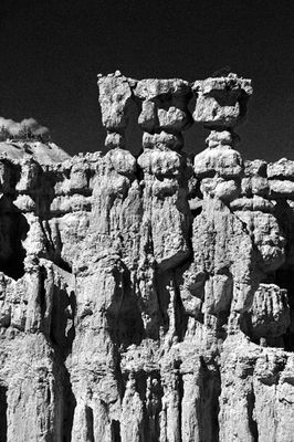 Utah15 Hoodoos 9132bw
