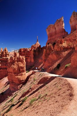 Utah15-9142