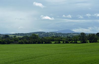 To Waterford 06-08 4524