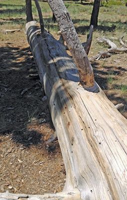 Utah15 Life over i6290