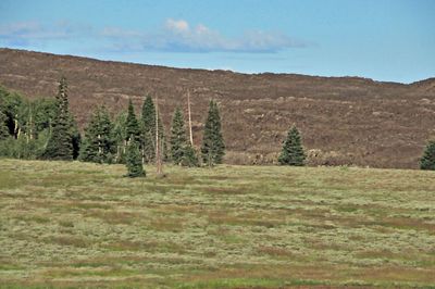 Ancient Lava flow - Utah15-9160