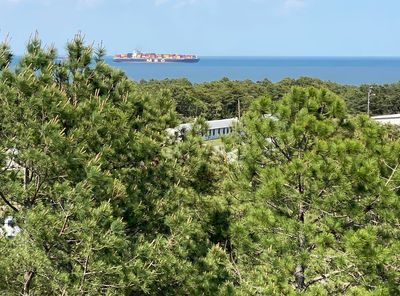 05-17 View from WWII submarine watch tower i9805