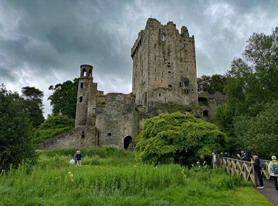 06-09 Blarney Castle i0413