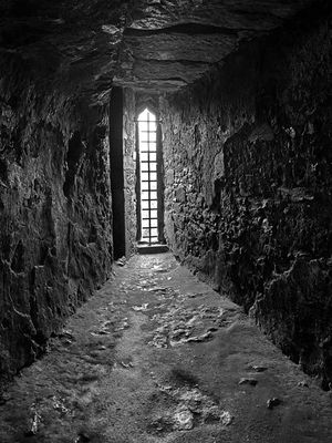 06-0 Blarney Castle i0430bw