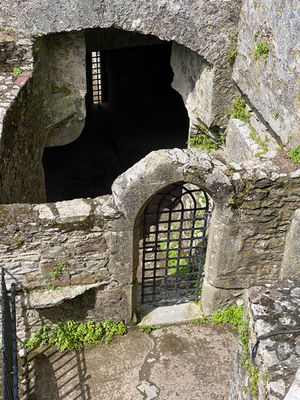 06-09 Blarney Castle i0437