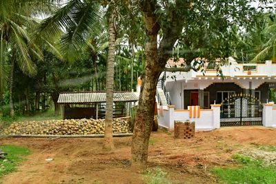 Coconut harvwest - India-2-1072cr