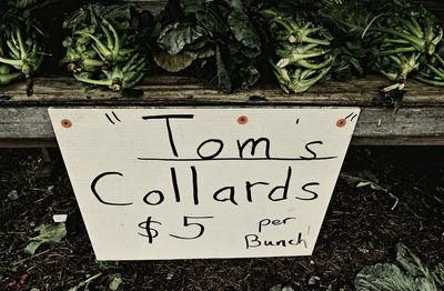 12-31 New Years Eve 1901grng