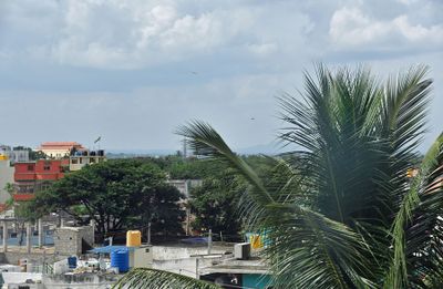 From hotel balcony - India-2-1214