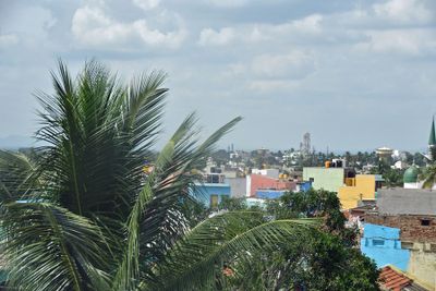 From hotel balcony - India-2-1215